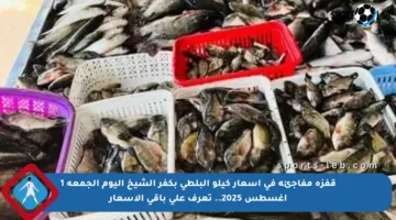 قفزة مفاجئة في أسعار كيلو البلطى بكفر الشيخ اليوم الجمعة 1 أغسطس 2025.. تعرف على باقي الأسعار